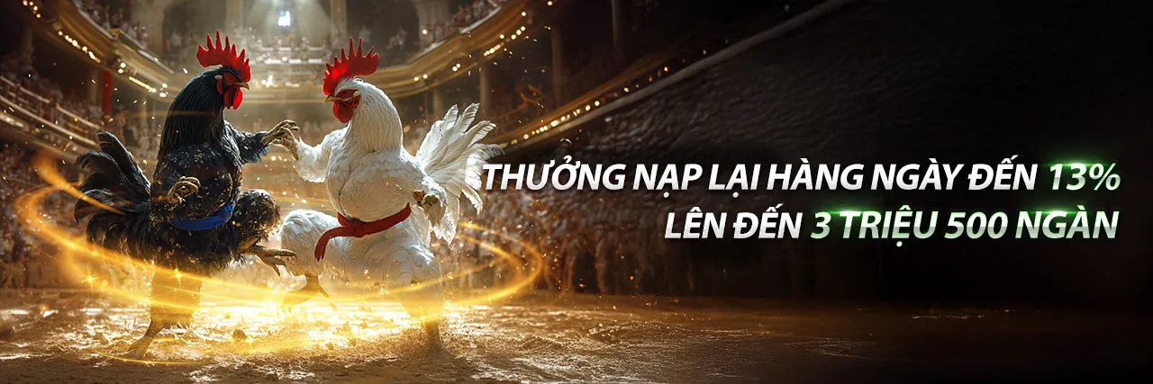 Đá Gà Trực Tuyến NN88